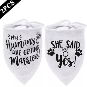 Dog bandana set